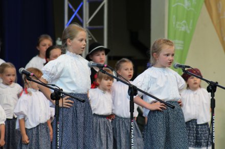 Zespół regionalny Mała Wisła